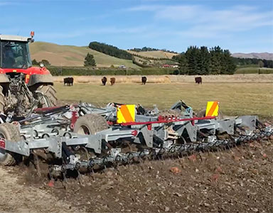 portfolio image template