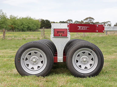 portfolio image template