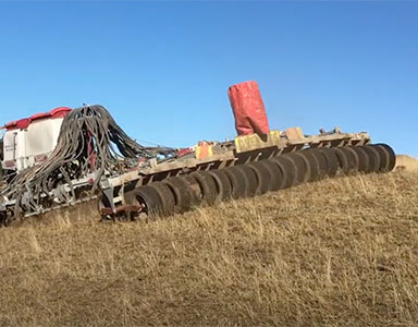 portfolio image template