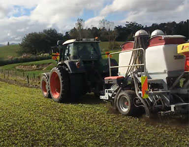 portfolio image template