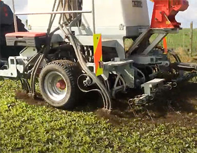 portfolio image template