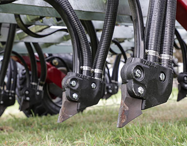 portfolio image template