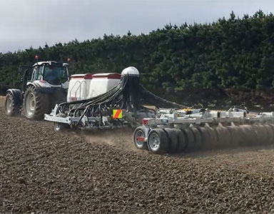 portfolio image template